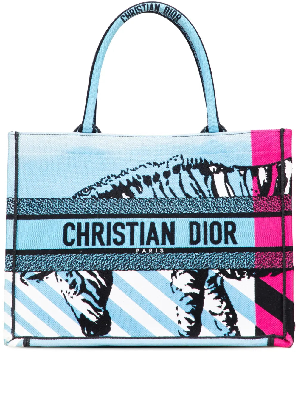 Christian Dior 2022 Medium Embroidered Canvas Zebra D Jungle Pop Book tote bag