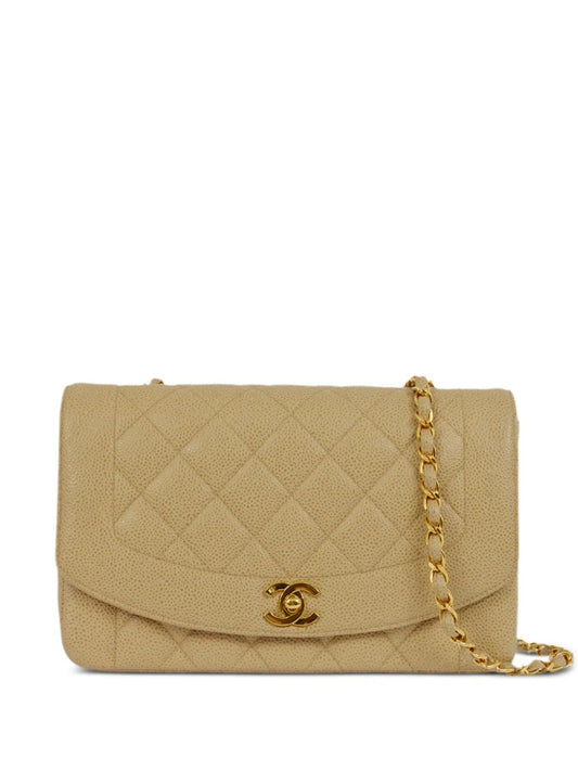 CHANEL 1995 medium Diana shoulder bag