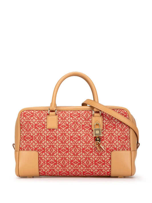 Loewe 2010 2024 Canvas Amazona 28 satchel