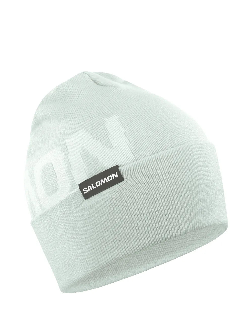 Salomon logo intarsia beanie hat