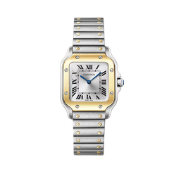 cartier santos de cartier stainless steel & 18k yellow gold unisex watch