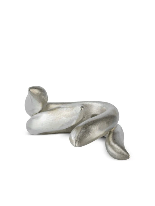 Parts of Four Tatius ring