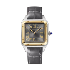 cartier santos-dumont stainless steel & 18k yellow gold men's watch_1