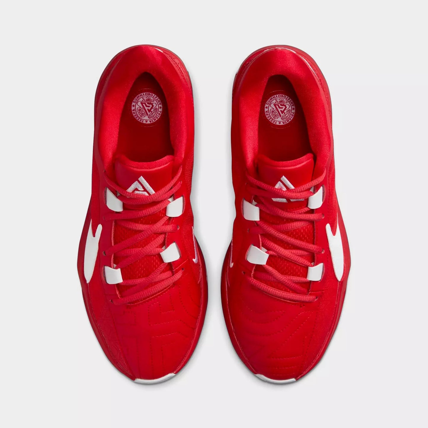 Men's Nike Zoom Freak 5 Team Basketball Shoes