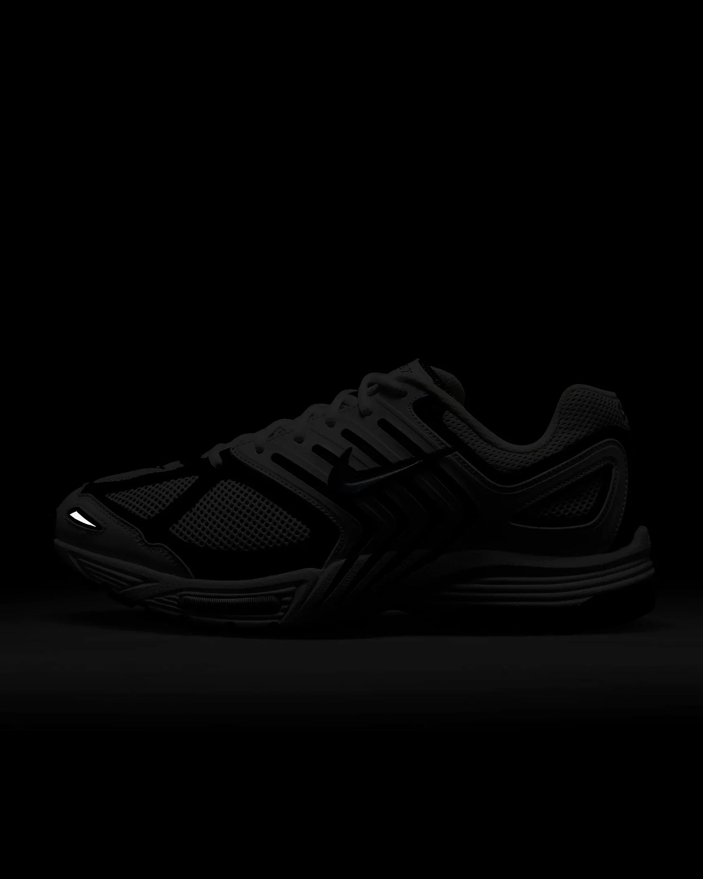 Nike Air Pegasus 2005